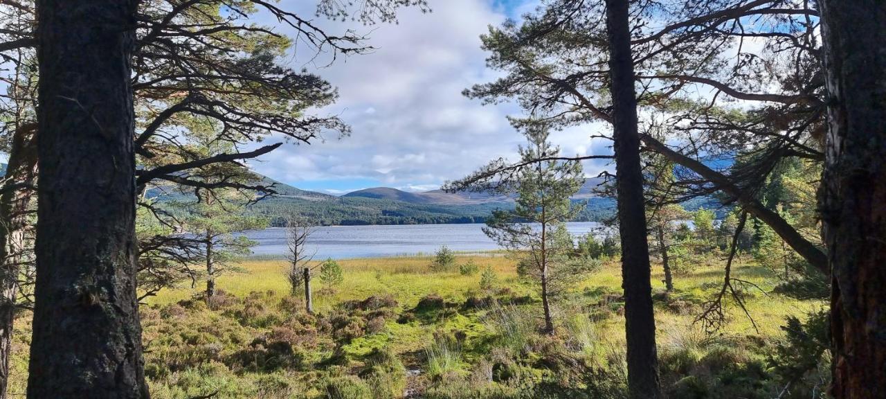 Bb@No17 Bed & Breakfast Aviemore Eksteriør bilde