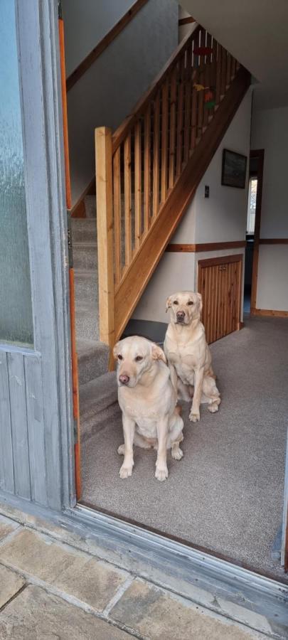 Bb@No17 Bed & Breakfast Aviemore Eksteriør bilde